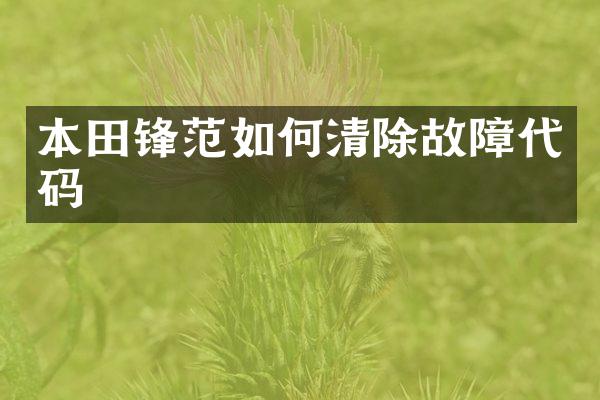 本田锋范如何清除故障代码