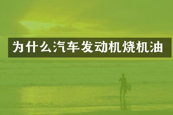 为什么汽车发动机烧机油