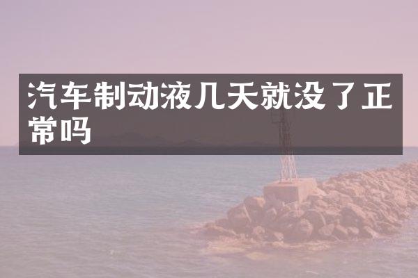 汽车制动液几天就没了正常吗