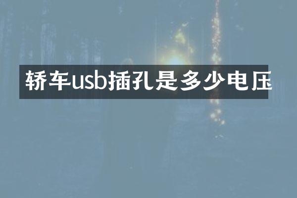 轿车usb插孔是多少电压