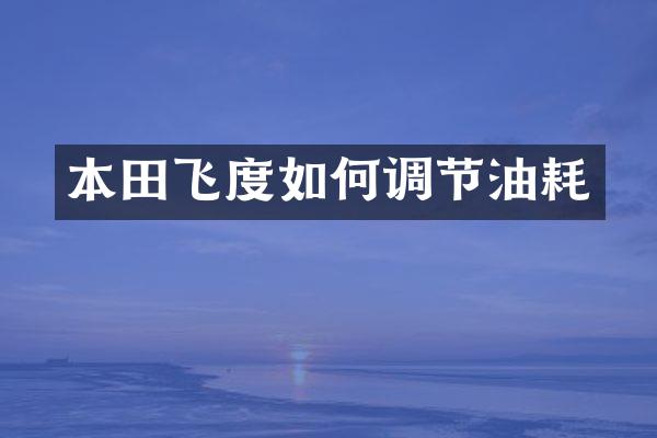本田飞度如何调节油耗