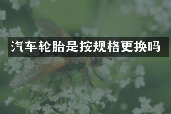 汽车轮胎是按规格更换吗