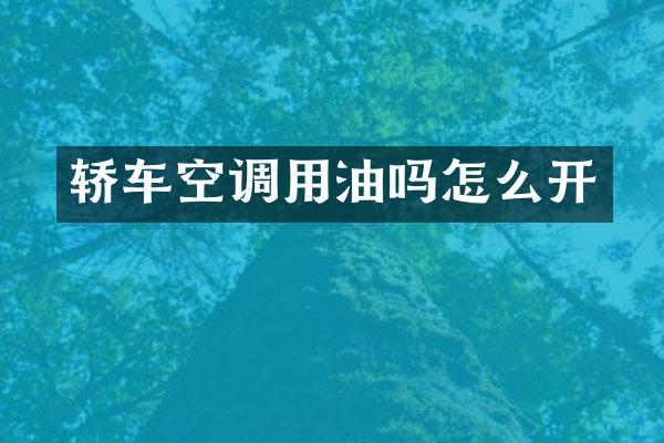 轿车空调用油吗怎么开