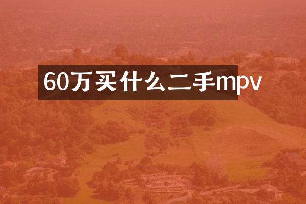 60万买什么二手mpv
