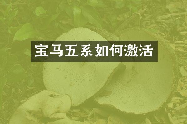 宝马五系如何激活