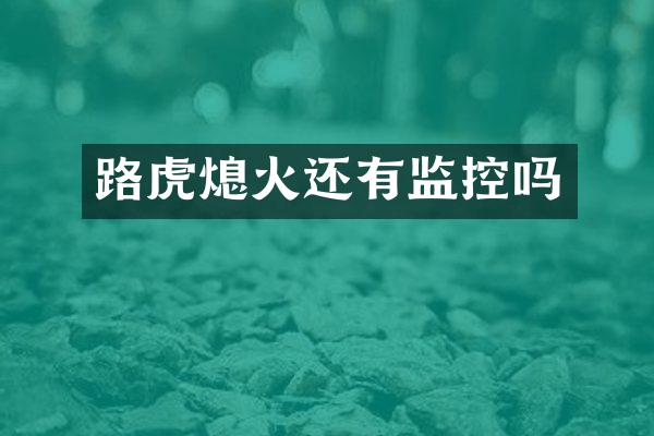 路虎熄火还有监控吗