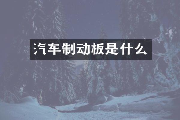 汽车制动板是什么