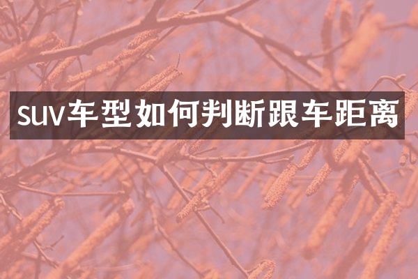 suv车型如何判断跟车距离