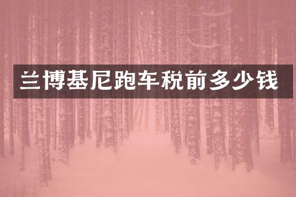 兰博基尼跑车税前多少钱