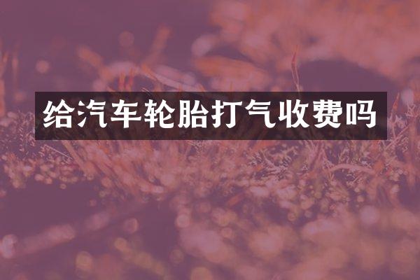 给汽车轮胎打气收费吗