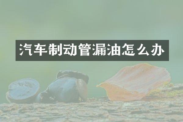 汽车制动管漏油怎么办