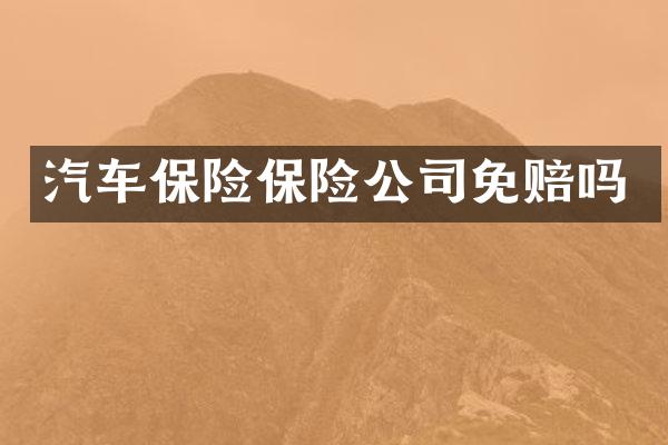 汽车保险保险公司免赔吗