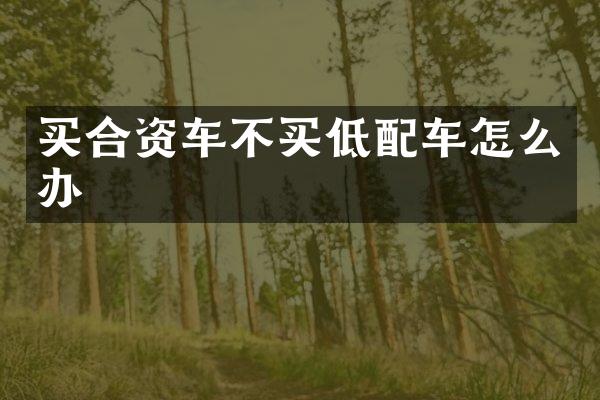 买合资车不买低配车怎么办