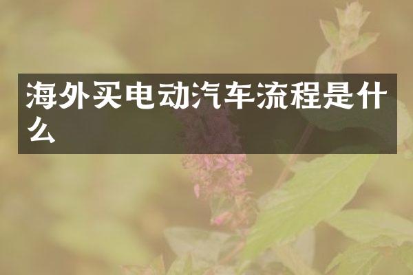 海外买电动汽车流程是什么