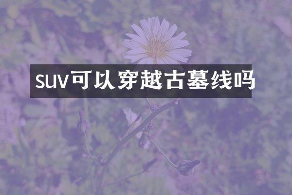 suv可以穿越古墓线吗