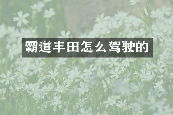 霸道丰田怎么驾驶的