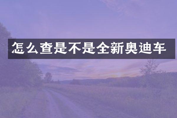 怎么查是不是全新奥迪车