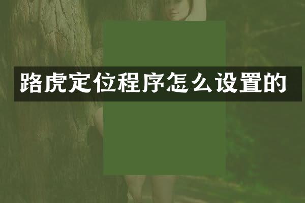 路虎定位程序怎么设置的