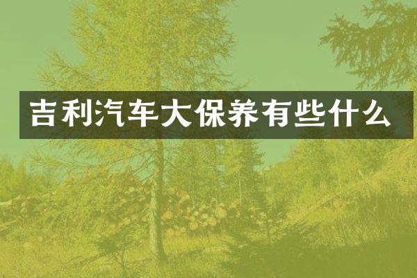 吉利汽车大保养有些什么