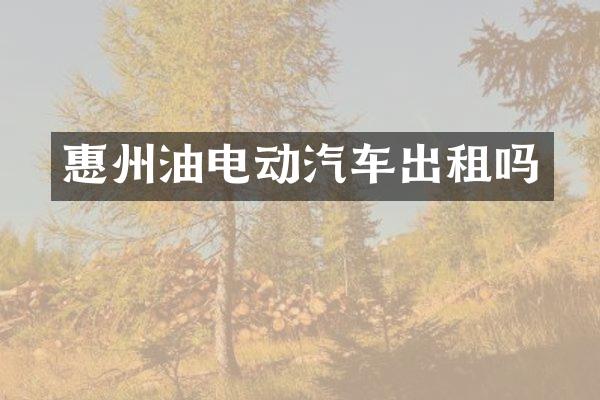 惠州油电动汽车出租吗