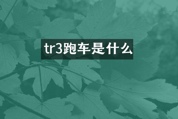 tr3跑车是什么