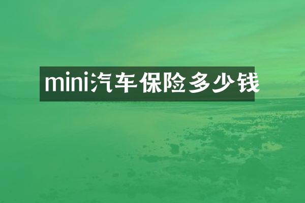 mini汽车保险多少钱