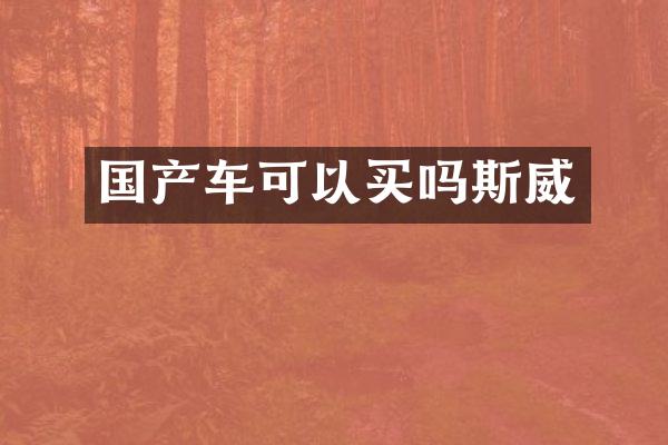 国产车可以买吗斯威