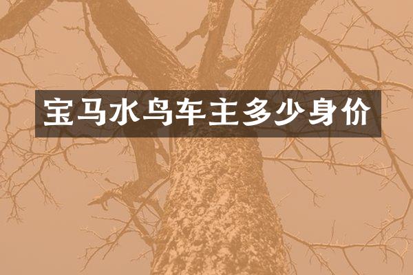 宝马水鸟车主多少身价