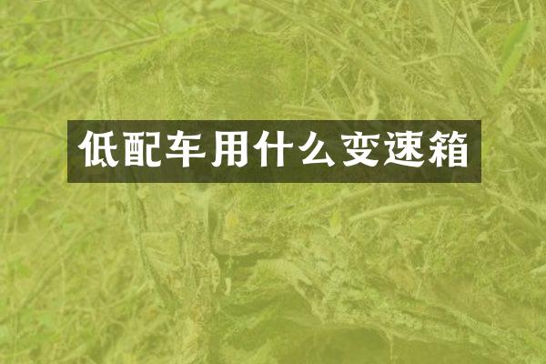 低配车用什么变速箱