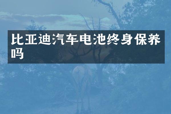 比亚迪汽车电池终身保养吗