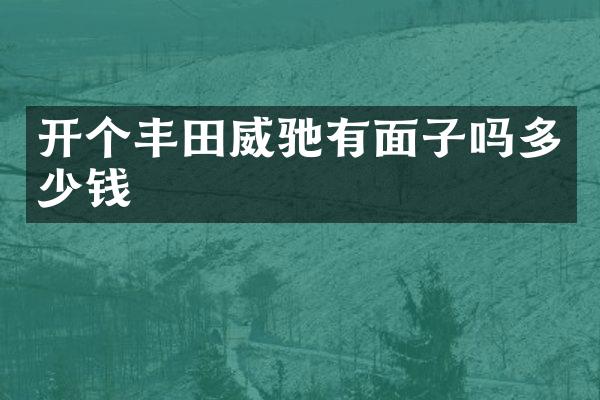 开个丰田威驰有面子吗多少钱