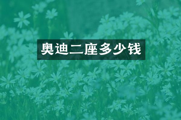 奥迪二座多少钱