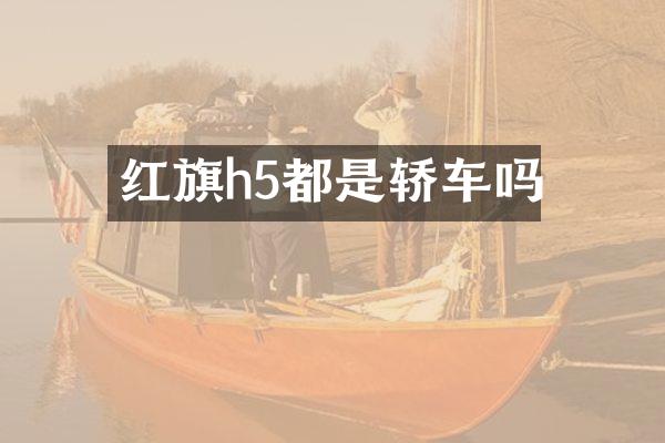 红旗h5都是轿车吗