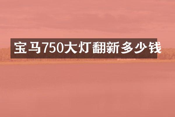 宝马750大灯翻新多少钱