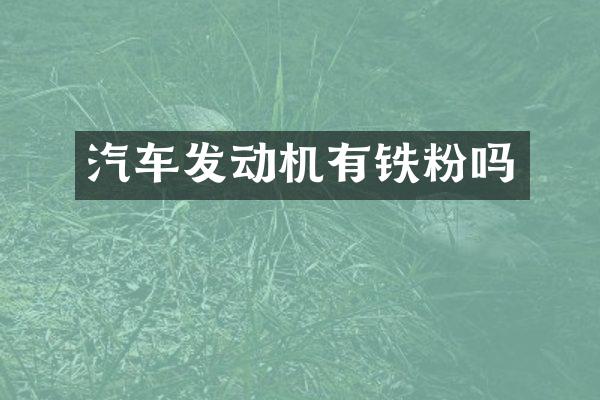 汽车发动机有铁粉吗