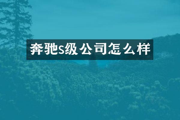 奔驰s级公司怎么样