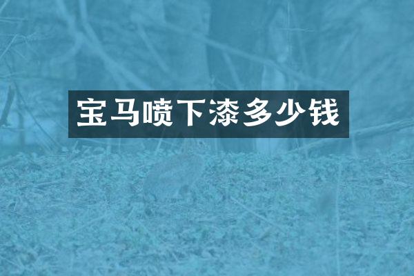 宝马喷下漆多少钱