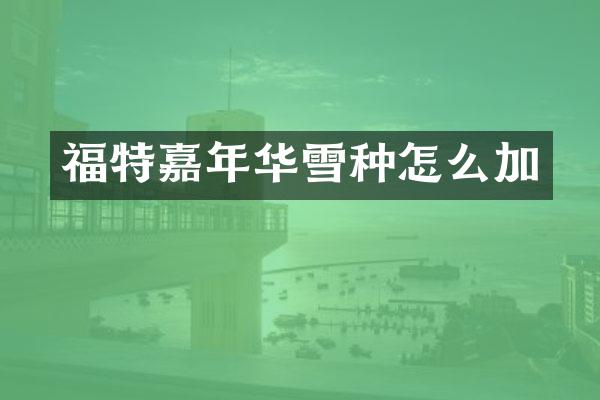 福特嘉年华雪种怎么加