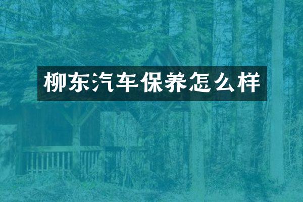 柳东汽车保养怎么样