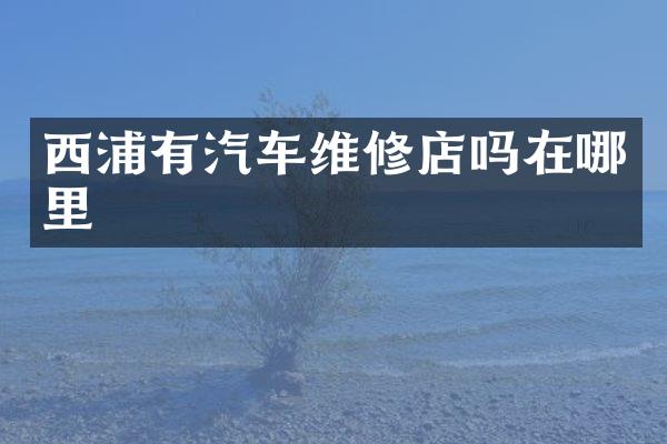 西浦有汽车维修店吗在哪里