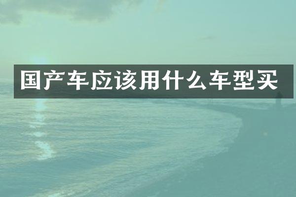 国产车应该用什么车型买