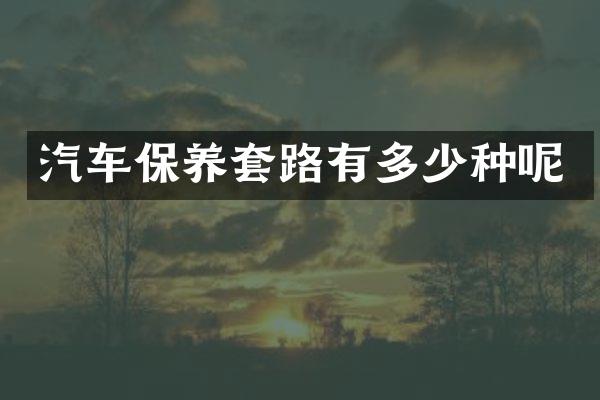 汽车保养套路有多少种呢