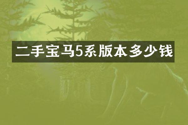 二手宝马5系版本多少钱