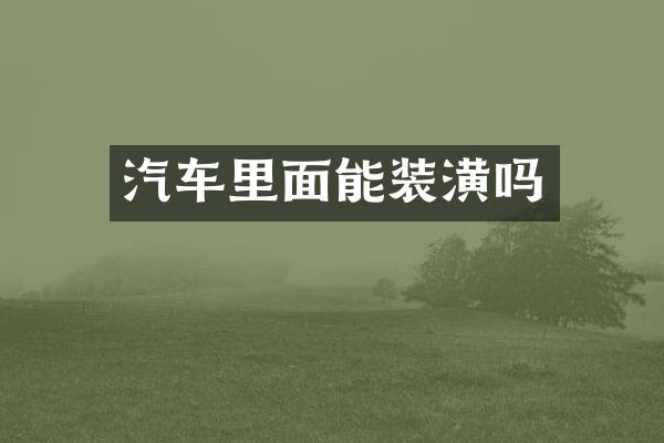 汽车里面能装潢吗