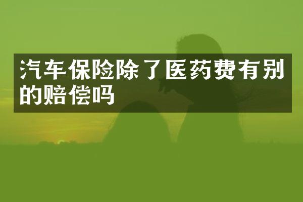 汽车保险除了医药费有别的赔偿吗