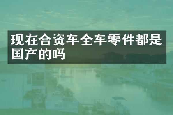 现在合资车全车零件都是国产的吗