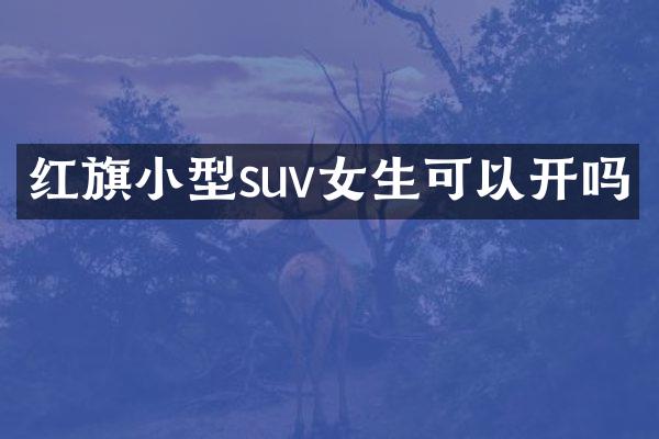 红旗小型suv女生可以开吗