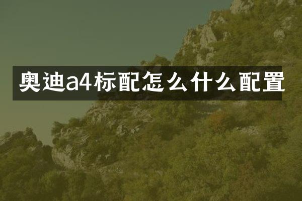 奥迪a4标配怎么什么配置