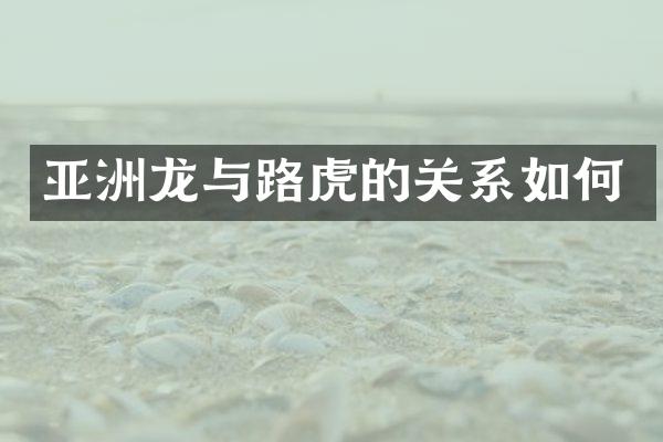 亚洲龙与路虎的关系如何
