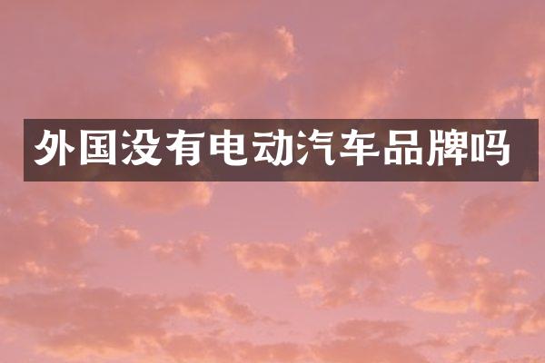 外国没有电动汽车品牌吗